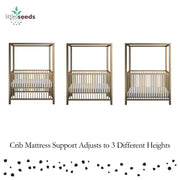 Monarch Hill Haven Metal Canopy Crib - Gold