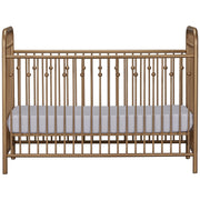 Little Seeds Monarch Hill Ivy Metal Baby Crib - Gold